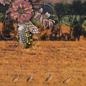 2023-10_October_Challenge_Whispers-of-Autumn