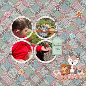 Squirrel-friends