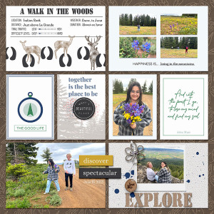 Walk-in-the-woods