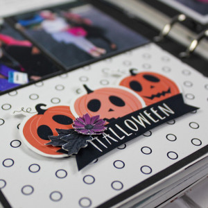 Halloween 2017 (close up)
