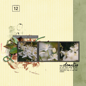 2023-9-12-CLEMATIS_600