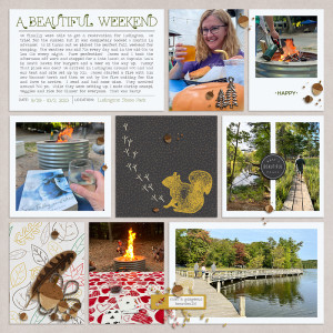 Ludington Camping page 1