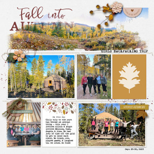 fall into autumn