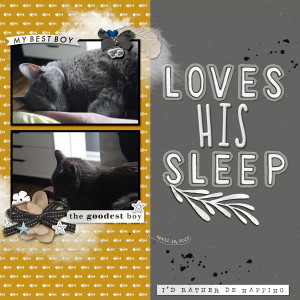 Loves His Sleep