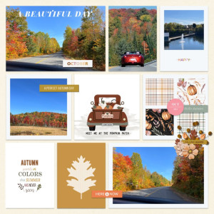 Shades of Autumn