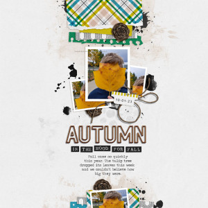 In The Mood For Fall