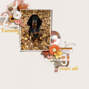 Turning 1,2,3 Years Old