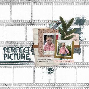 Picture Perfect