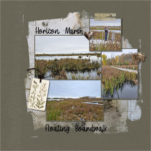 Horicon Marsh Floating Boardwalk