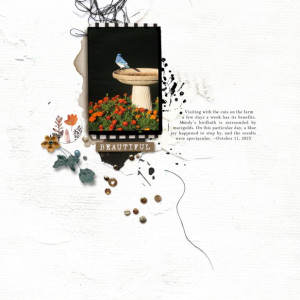 Art-In-Simplicity - Photo Ready Kit No1