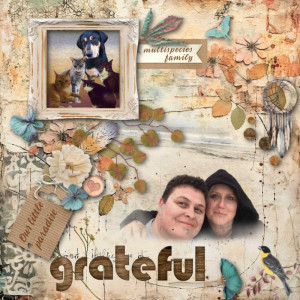 Gratitude November Challenge