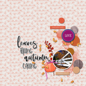 1leaves falling autumn calling