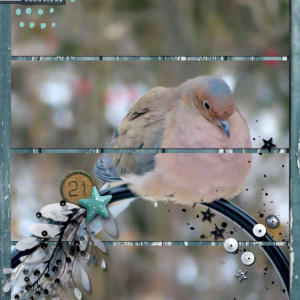 Sweet-December-Stories