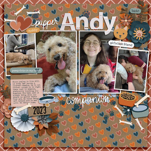 Andy