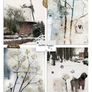 Winter 2013