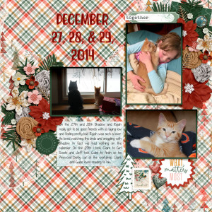 20141227-28-29-fdd_DecDets6_tp28