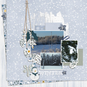 Winter Days