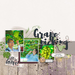 Grape Picking