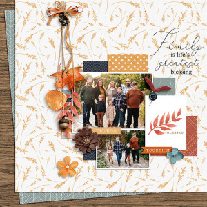 Fall Family Photos
