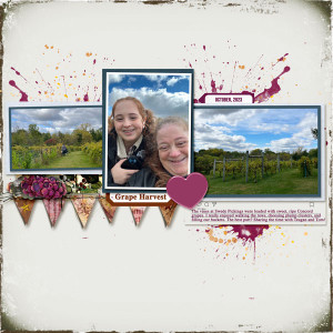 Grape-Harvest