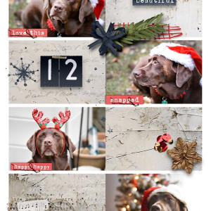 December Photoshoot
