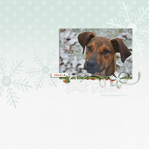 First Snow