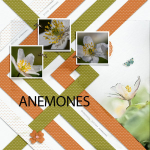 Anémones