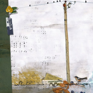 Carefully Curated - This Is Us