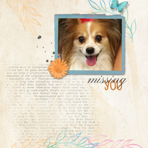 Missing-You