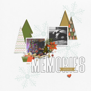 Memories