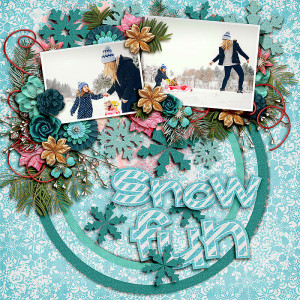 FF_dec8_BG_FDD_Snow Fun