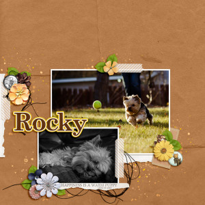 Studioliv_dec2023_Rocky