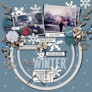 chilly winter