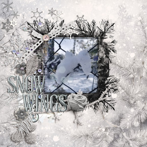 Snow wings