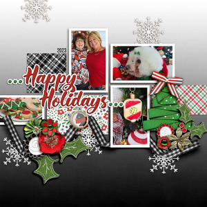 FF_dec15_GM_SwL_Happy Holiday