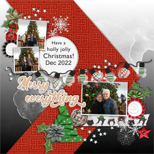 MERRY EVERYTHING