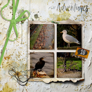 Fall Adventures