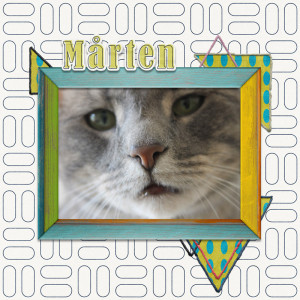 Marten