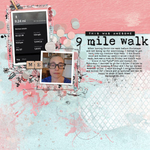 SOSN January 03- 9 mile walk