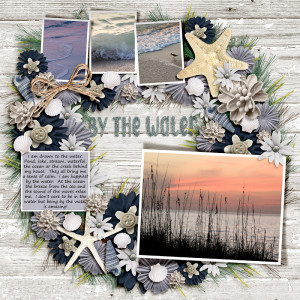 12-9-2023 - Beach - Florida - MOC12-1