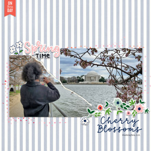 Cherry Blossoms