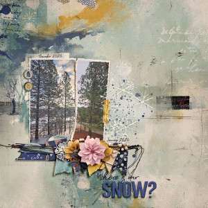 2024_1_Snow-MOC5