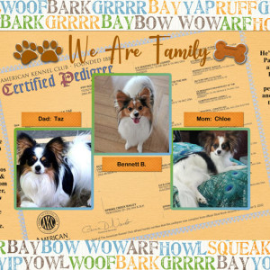 January-6---Generation---Family-Connection---We-Are-Family