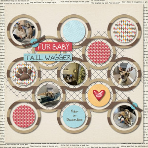 Jan 2024 MIS Template Challenge - Fur Baby Dog