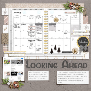 01-2024 - Looking Ahead - MOC12-7