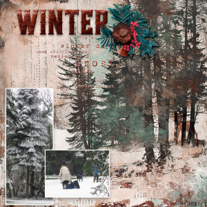 A Winter's day