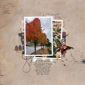 Fall Walk