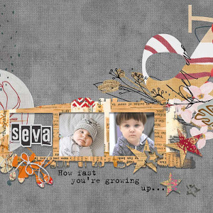 MOC_12_10_01_2024_Seva