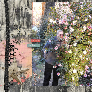 240103_JB Camellias