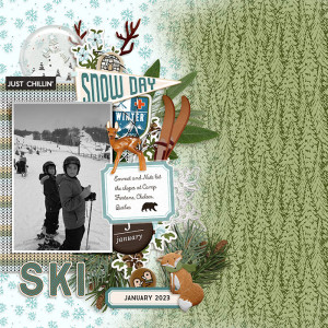 MOC12 Day 12: Ski